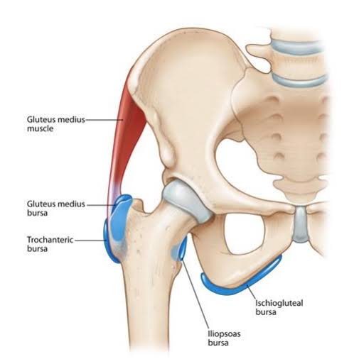 Adductor Bursitis Overview