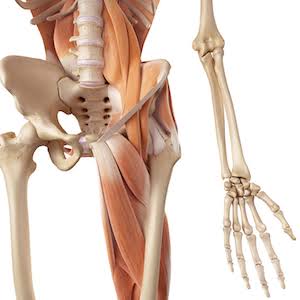 TFL Tightness in Golfers Overview