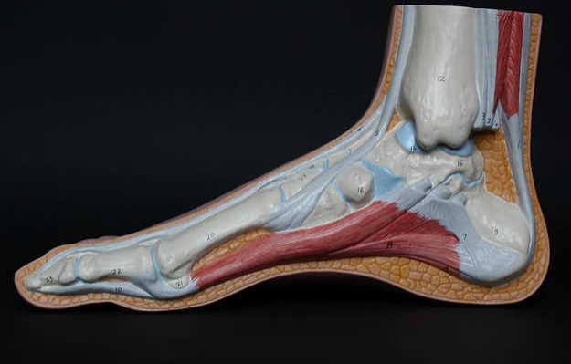 Compartment Syndrome Overview