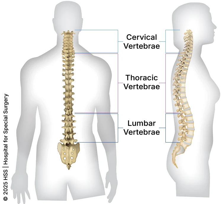 Lumbar Spondylosis